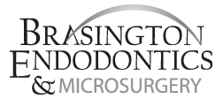 Link to Brasington Endodontics & Microsurgery home page